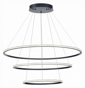 Подвесной светильник ST-Luce ST604 OUT ST604.443.114 в Миассе - miass.mebel24.online | фото 3