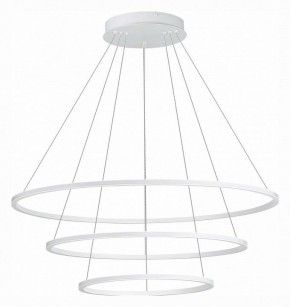 Подвесной светильник ST-Luce ST604 OUT ST604.543.114 в Миассе - miass.mebel24.online | фото 2