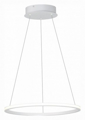 Подвесной светильник ST-Luce ST604 OUT ST604.543.22 в Миассе - miass.mebel24.online | фото 3