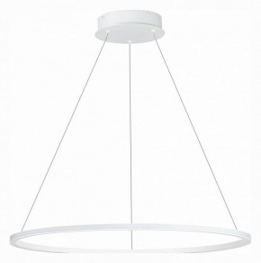 Подвесной светильник ST-Luce ST604 OUT ST604.543.34 в Миассе - miass.mebel24.online | фото 2