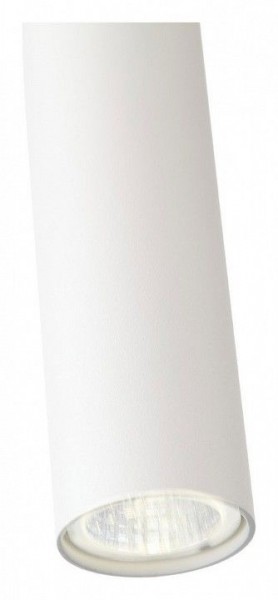 Подвесной светильник ST-Luce Tuore SL1592.503.01 в Миассе - miass.mebel24.online | фото 11