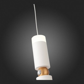 Подвесной светильник ST-Luce Tuore SL1592.503.01 в Миассе - miass.mebel24.online | фото 5