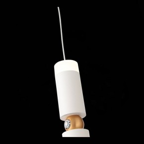 Подвесной светильник ST-Luce Tuore SL1592.503.01 в Миассе - miass.mebel24.online | фото 9