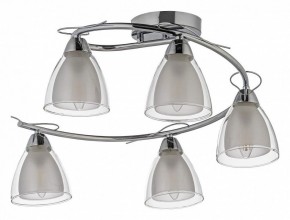 Потолочная люстра Arti Lampadari Paola, Tavenna Nickel Paola E 1.1.5 N в Миассе - miass.mebel24.online | фото