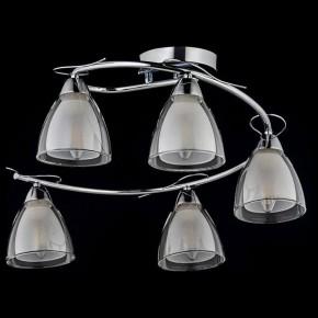 Потолочная люстра Arti Lampadari Paola, Tavenna Nickel Paola E 1.1.5 N в Миассе - miass.mebel24.online | фото 2