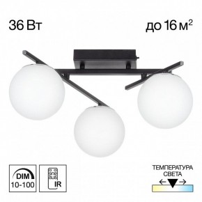 Потолочная люстра Citilux Dorsy CL223132 в Миассе - miass.mebel24.online | фото 10