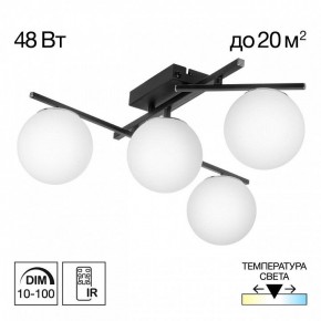 Потолочная люстра Citilux Dorsy CL223142 в Миассе - miass.mebel24.online | фото 9