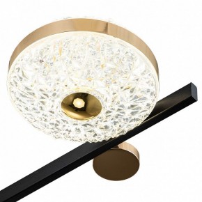 Потолочная люстра Escada Liberta 10219/6LED в Миассе - miass.mebel24.online | фото 6