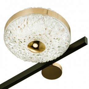 Потолочная люстра Escada Liberta 10219/6LED в Миассе - miass.mebel24.online | фото 7