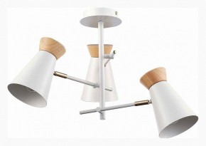 Потолочная люстра EVOLUCE Alfeo SLE1252-502-03 в Миассе - miass.mebel24.online | фото 2