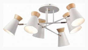 Потолочная люстра EVOLUCE Alfeo SLE1252-502-06 в Миассе - miass.mebel24.online | фото