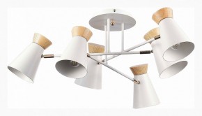 Потолочная люстра EVOLUCE Alfeo SLE1252-502-06 в Миассе - miass.mebel24.online | фото 2