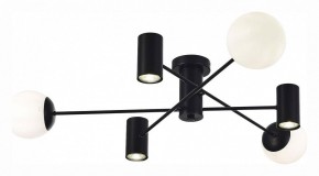 Потолочная люстра EVOLUCE Raito SLE1105-402-06 в Миассе - miass.mebel24.online | фото