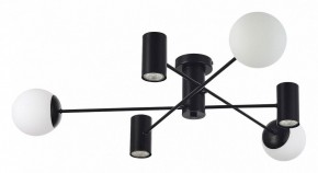 Потолочная люстра EVOLUCE Raito SLE1105-402-06 в Миассе - miass.mebel24.online | фото 2