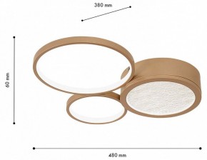 Потолочная люстра F-promo Campus 4681-3C в Миассе - miass.mebel24.online | фото 7