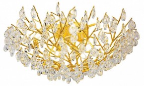 Потолочная люстра Favourite Pluvia 4162-10C в Миассе - miass.mebel24.online | фото 2