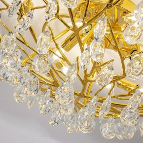 Потолочная люстра Favourite Pluvia 4162-10C в Миассе - miass.mebel24.online | фото 5