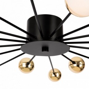 Потолочная люстра Freya Celebrity FR5242CL-16B в Миассе - miass.mebel24.online | фото 8