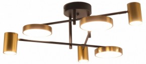 Потолочная люстра Kink Light Рапис 07645-6D,19(20) в Миассе - miass.mebel24.online | фото