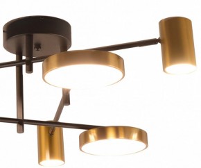 Потолочная люстра Kink Light Рапис 07645-6D,19(20) в Миассе - miass.mebel24.online | фото 2