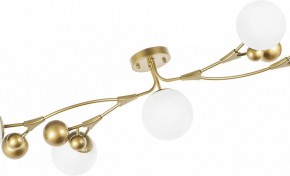 Потолочная люстра Lightstar Croco 815553 в Миассе - miass.mebel24.online | фото 6