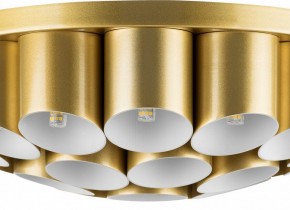 Потолочная люстра Lightstar Siena 720222 в Миассе - miass.mebel24.online | фото 3