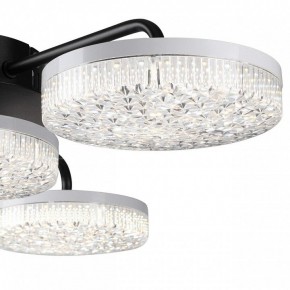 Потолочная люстра Lumion Didana 8236/4CL в Миассе - miass.mebel24.online | фото 7