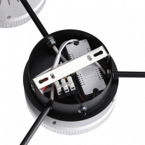 Потолочная люстра Lumion Didana 8236/4CL в Миассе - miass.mebel24.online | фото 9