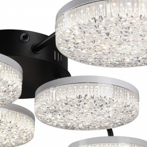 Потолочная люстра Lumion Didana 8236/6CL в Миассе - miass.mebel24.online | фото 9