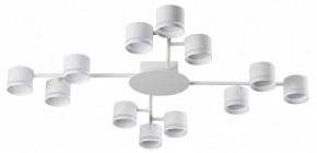 Потолочная люстра Lumion Gareta 8235/12C в Миассе - miass.mebel24.online | фото