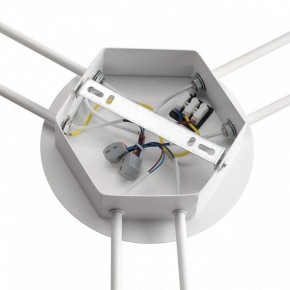 Потолочная люстра Lumion Gareta 8235/6C в Миассе - miass.mebel24.online | фото 6