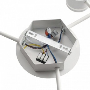 Потолочная люстра Lumion Gareta 8235/9C в Миассе - miass.mebel24.online | фото 6