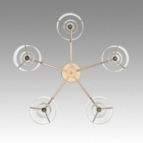 Потолочная люстра Lumion Verdi 6587/5C в Миассе - miass.mebel24.online | фото 4