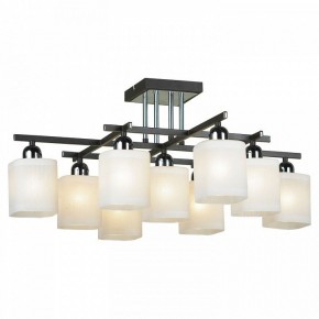 Потолочная люстра Lussole Costanzo LSL-9007-09 в Миассе - miass.mebel24.online | фото 2