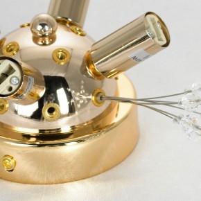Потолочная люстра Lussole Davie LSP-8781 в Миассе - miass.mebel24.online | фото 4