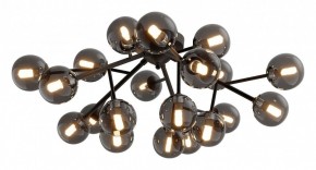Потолочная люстра Maytoni Dallas MOD545CL-20B в Миассе - miass.mebel24.online | фото 2