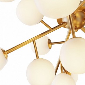 Потолочная люстра Maytoni Dallas MOD545CL-20BS в Миассе - miass.mebel24.online | фото 2