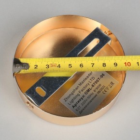 Потолочная люстра Omnilux Acuto OML-67007-06 в Миассе - miass.mebel24.online | фото 8