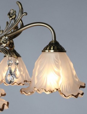 Потолочная люстра Omnilux Petrara OML-54807-05 в Миассе - miass.mebel24.online | фото 3