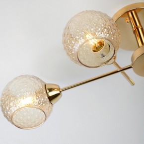 Потолочная люстра Rivoli Amalia Б0050815 в Миассе - miass.mebel24.online | фото 8