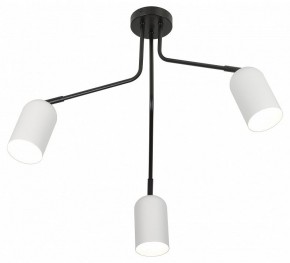 Потолочная люстра Rivoli Rosalinda Б0064987 в Миассе - miass.mebel24.online | фото 4