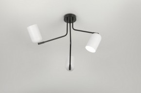 Потолочная люстра Rivoli Rosalinda Б0064987 в Миассе - miass.mebel24.online | фото 7