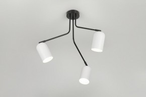 Потолочная люстра Rivoli Rosalinda Б0064987 в Миассе - miass.mebel24.online | фото 8