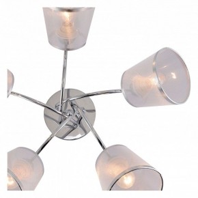 Потолочная люстра Rivoli Shirley Б0059982 в Миассе - miass.mebel24.online | фото 5