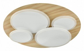 Потолочная люстра Sonex Pine 7734/60L в Миассе - miass.mebel24.online | фото