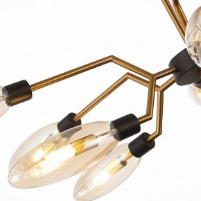Потолочная люстра ST-Luce Desima SL1174.303.12 в Миассе - miass.mebel24.online | фото 11