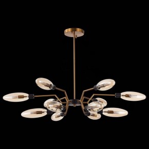 Потолочная люстра ST-Luce Desima SL1174.303.12 в Миассе - miass.mebel24.online | фото 4