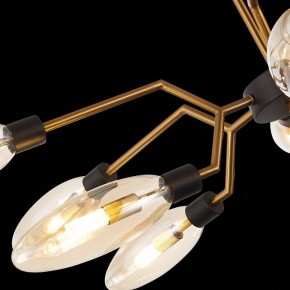 Потолочная люстра ST-Luce Desima SL1174.303.12 в Миассе - miass.mebel24.online | фото 9