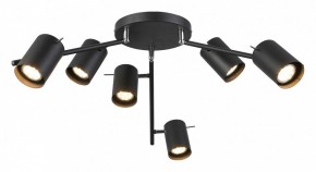 Потолочная люстра ST-Luce Fanale SL597.402.06 в Миассе - miass.mebel24.online | фото