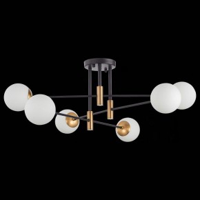 Потолочная люстра ST-Luce Limano SL1203.402.06 в Миассе - miass.mebel24.online | фото 4